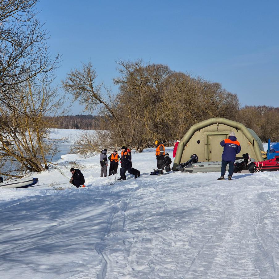 МЧС привлекло эхолоты к поиску пропавших в Звенигороде детей. К поискам троих детей, пропавших несколько дней назад в Звенигороде, привлекли плавсредства с эхолотами. Работу спасателей осложняет вскрытие Москвы-реки и движение льда