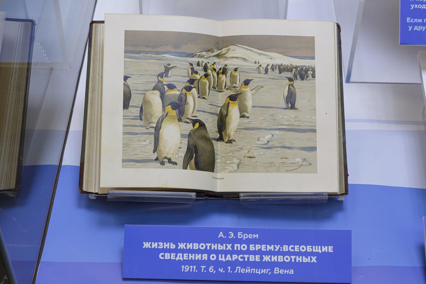 Пингвины нередко становились героями картин и иллюстраций для различных книг.