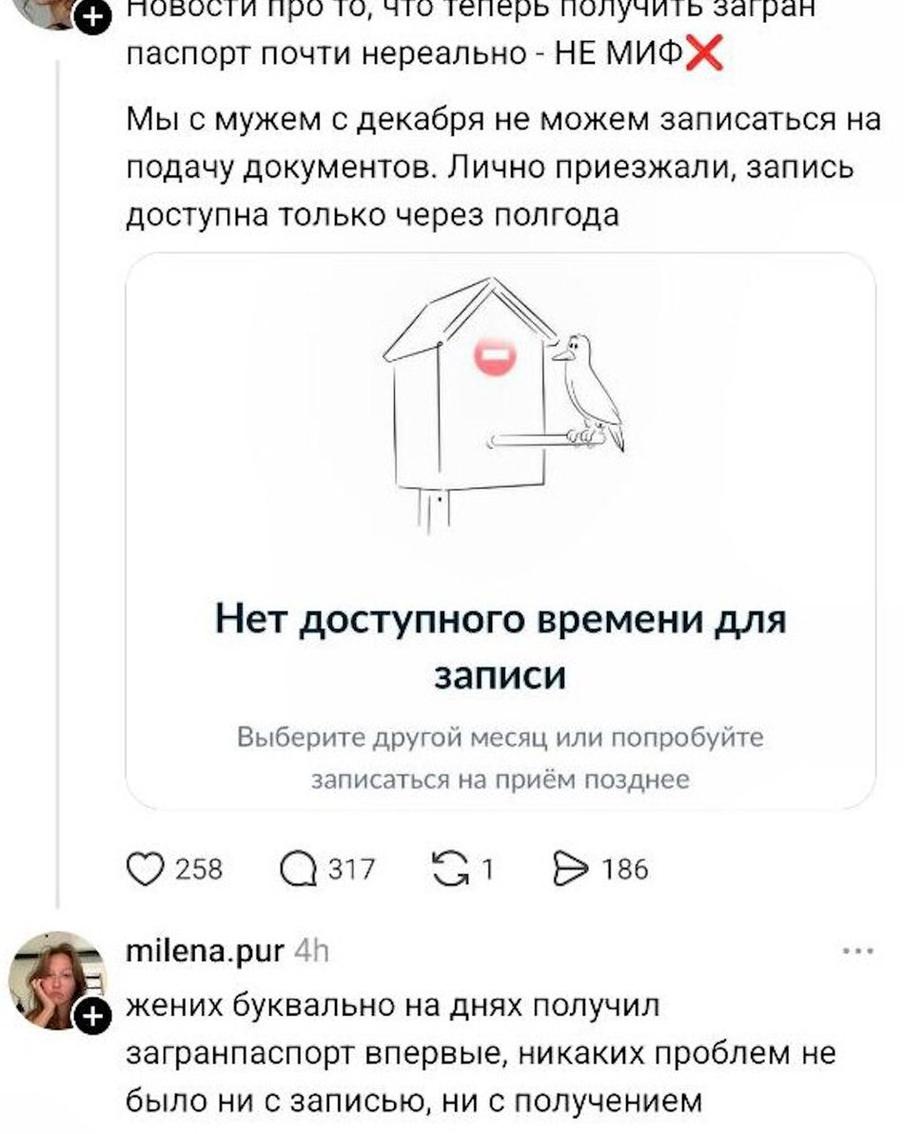 Жалобы россиян на сложности с получением загранпаспорта.