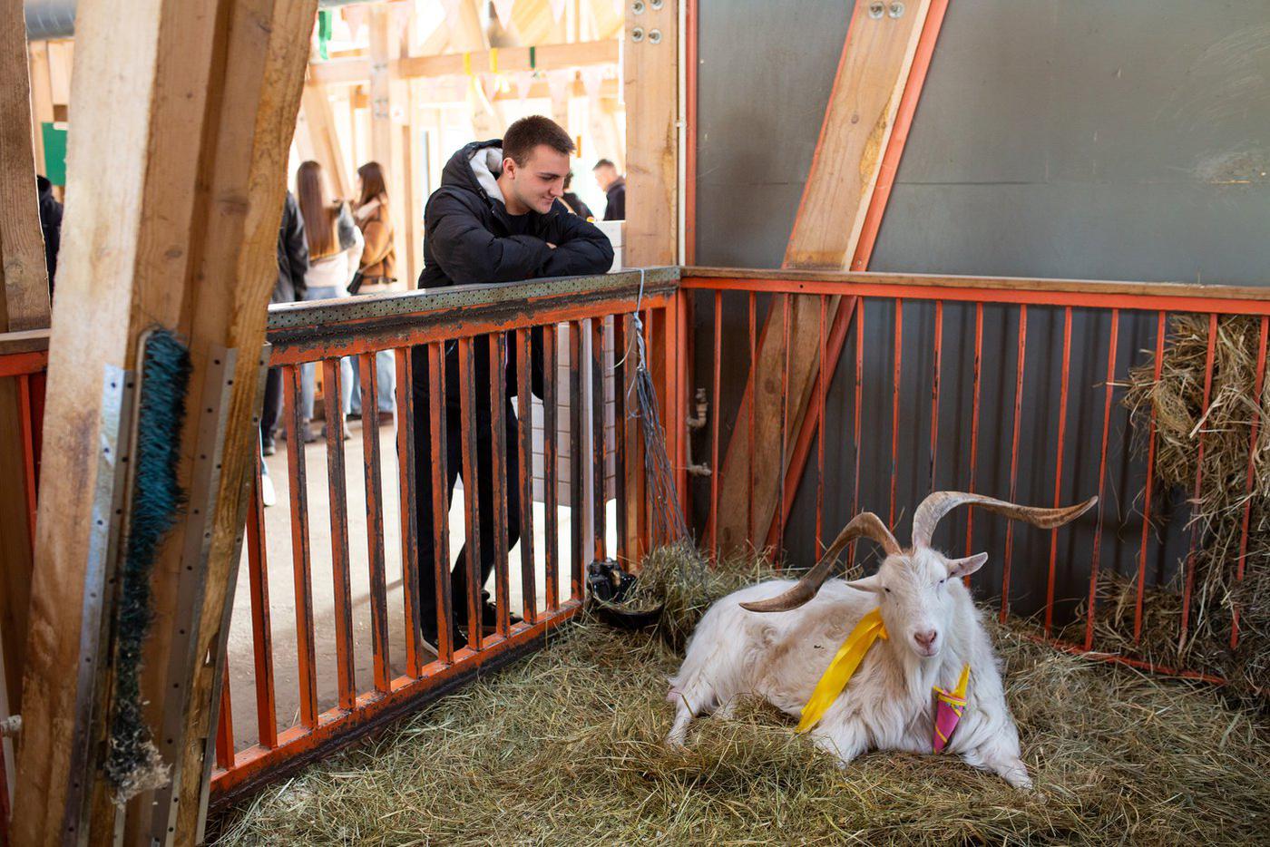 21-летний Иван ничуть не смутился в ответ на неловкую ситуацию. Если имениннику и было смешно, то он не показал виду – из солидарности.