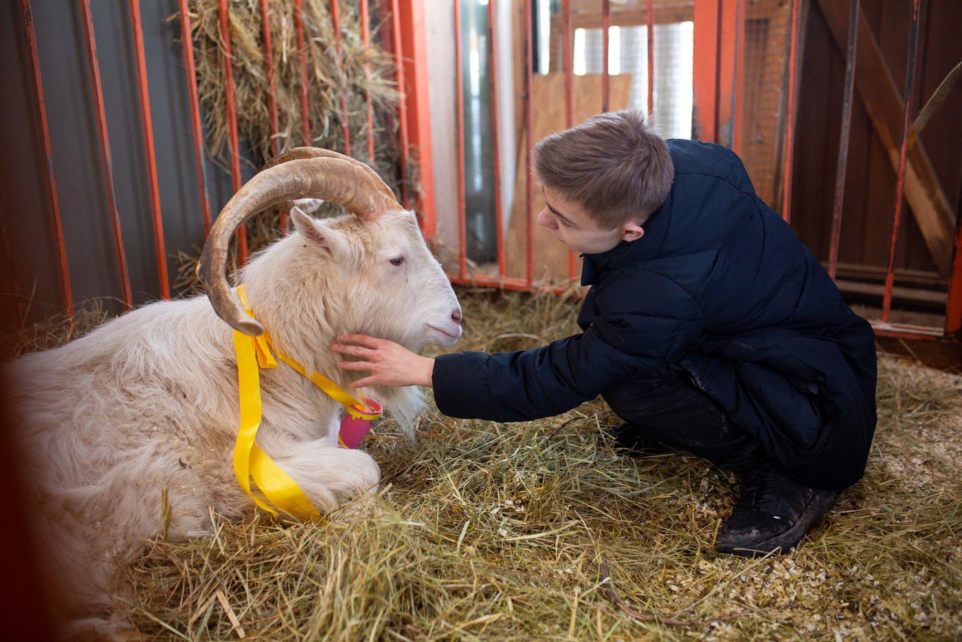 Иваны с большим удовольствием поздравляют именинника, угощая его любимой морковкой.