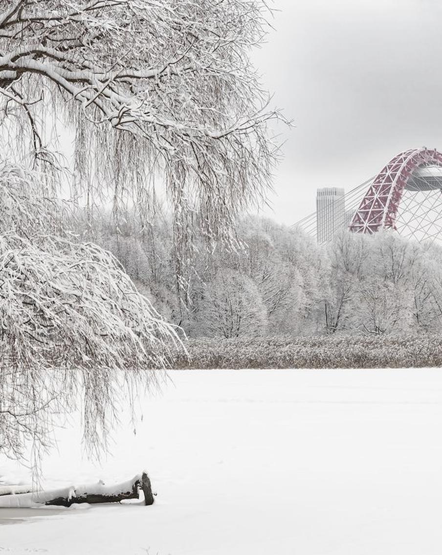 За выезд на лёд на авто водители Подмосковья будут получать штрафы: эксперт разъяснил детали