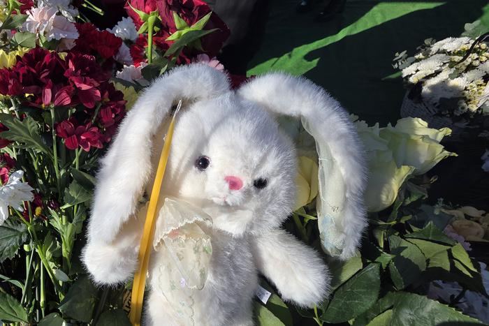 "Эта река уже забирала детей": в Звенигороде простились с 13-летней Алиной