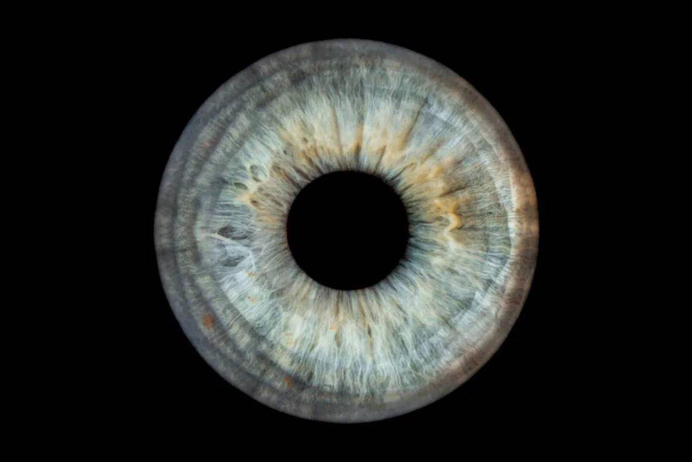 Отличная идея для оригинального подарка: можно сделать наклейку, блокнот или чехол на телефон с такой фотокарточкой.