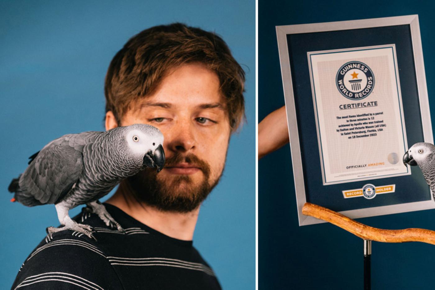 Умнейший попугай Аполлон со своим хозяином.