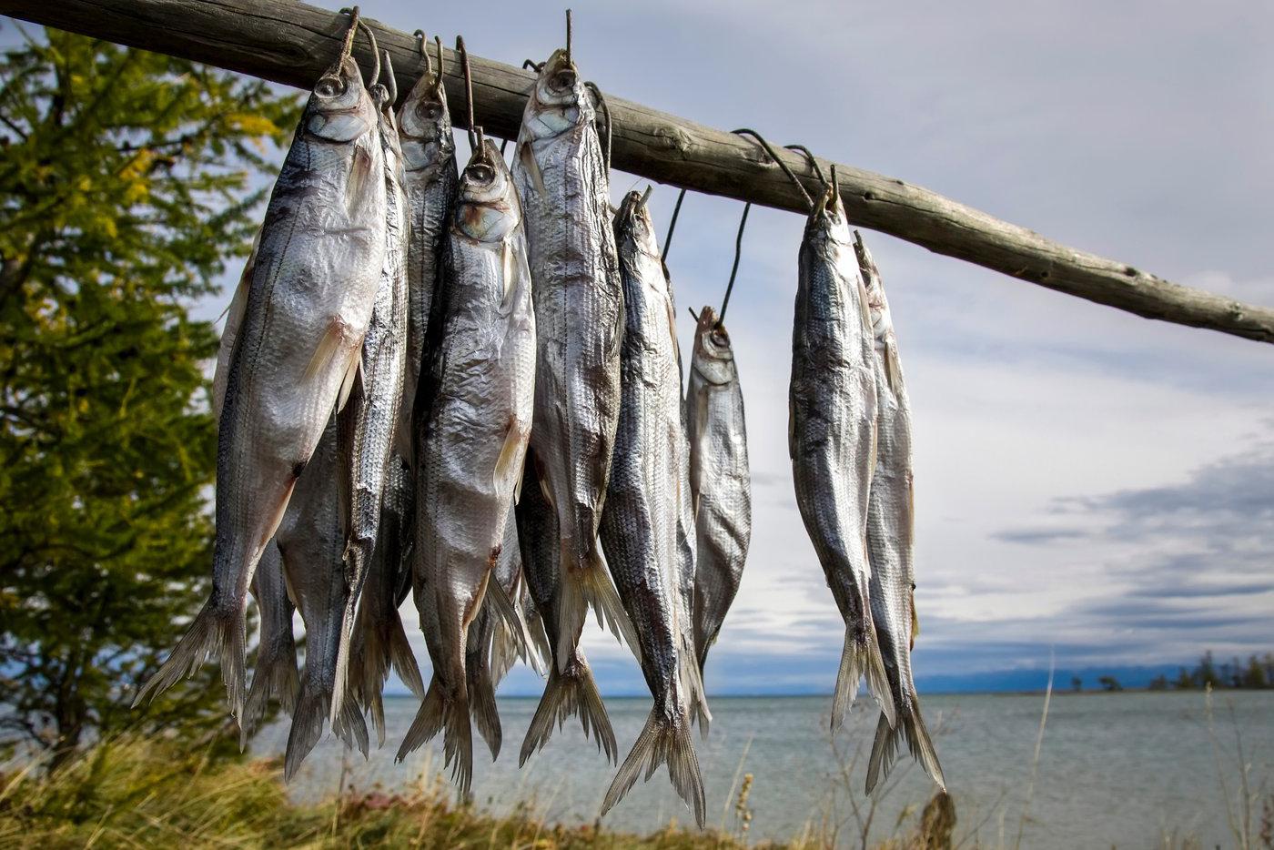 Байкальский омуль и салат "Индигирка": лидеры кулинарного рейтинга в России