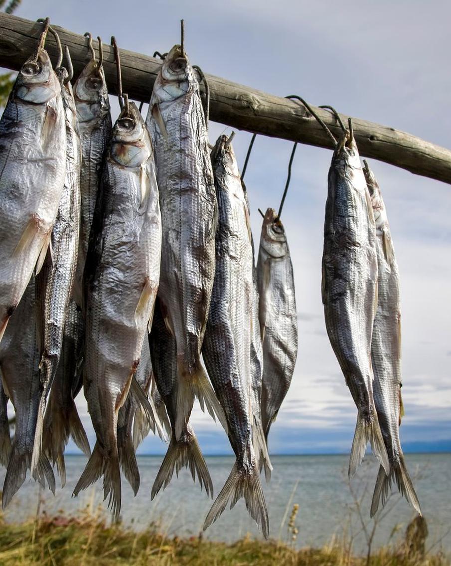 Байкальский омуль и салат "Индигирка": лидеры кулинарного рейтинга в России