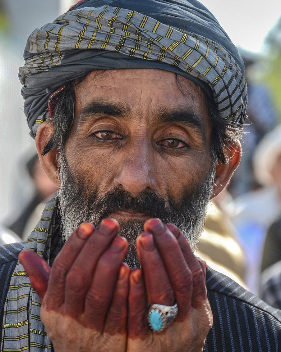 Для работы в России могут направить жителей Афганистана. Кабул обсуждает с Москвой возможность отправки трудовых мигрантов, которых займут нишу в сельском хозяйстве. Однако договорённости пока не достигнуты