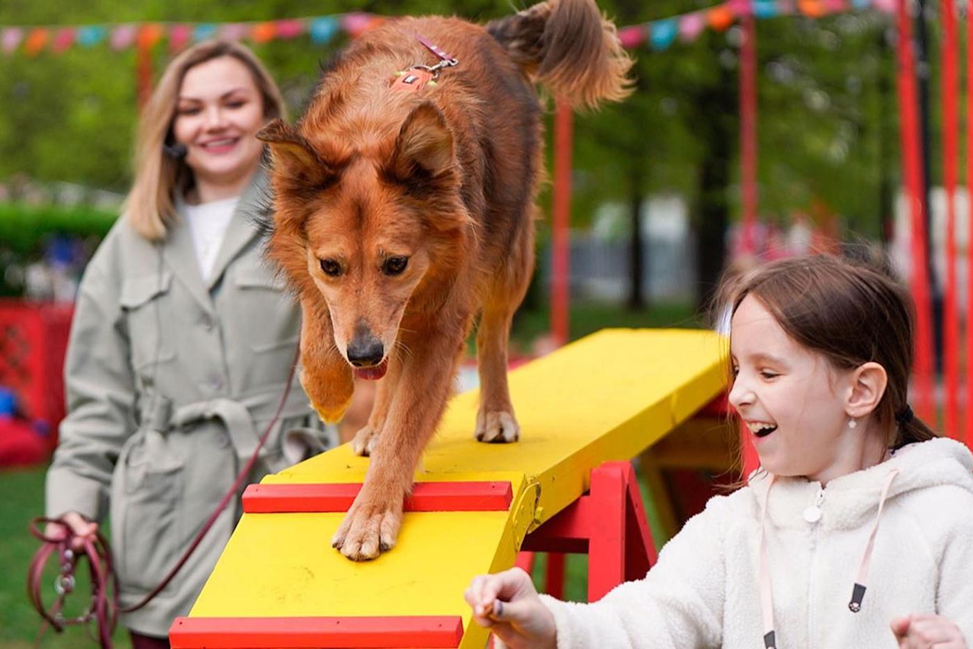 Мероприятие "Моспитомца" пройдёт с 16 по 19 апреля на Тверском бульваре