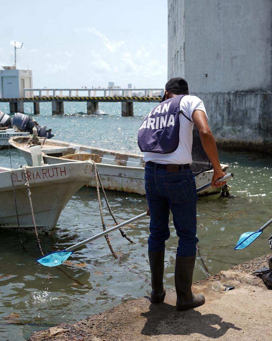 Две тысячи спасателей борются с разливом нефти в Мексиканском заливе. По подсчётам местной энергетической компании Pemex, с поверхности залива удалено уже около 430 тонн нефти