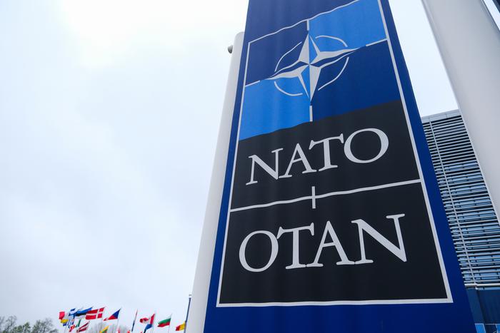 Дональд Трамп планирует ограничить в правах некоторые страны в составе НАТО