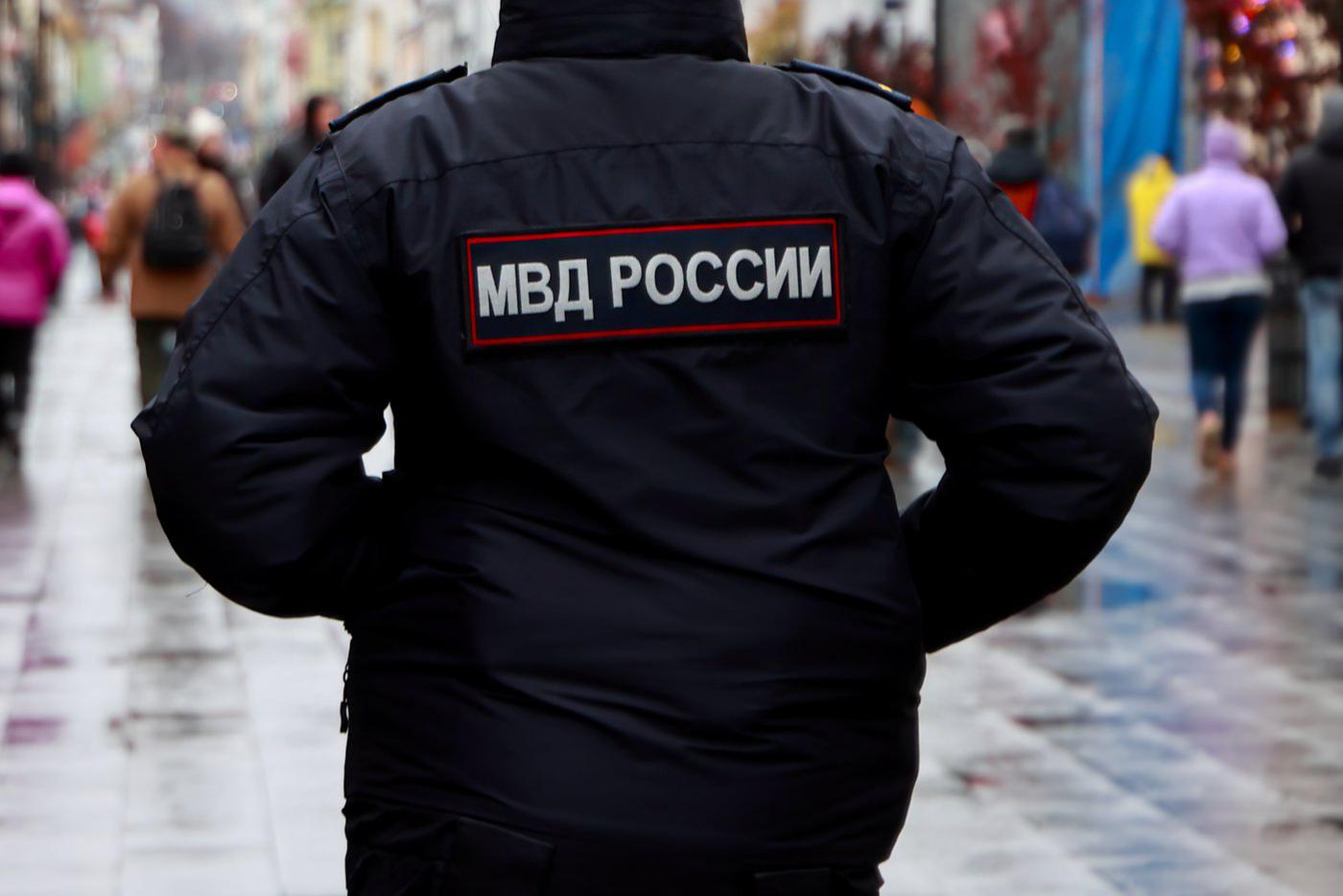 В МВД предостерегли россиян от участия в несогласованных акциях