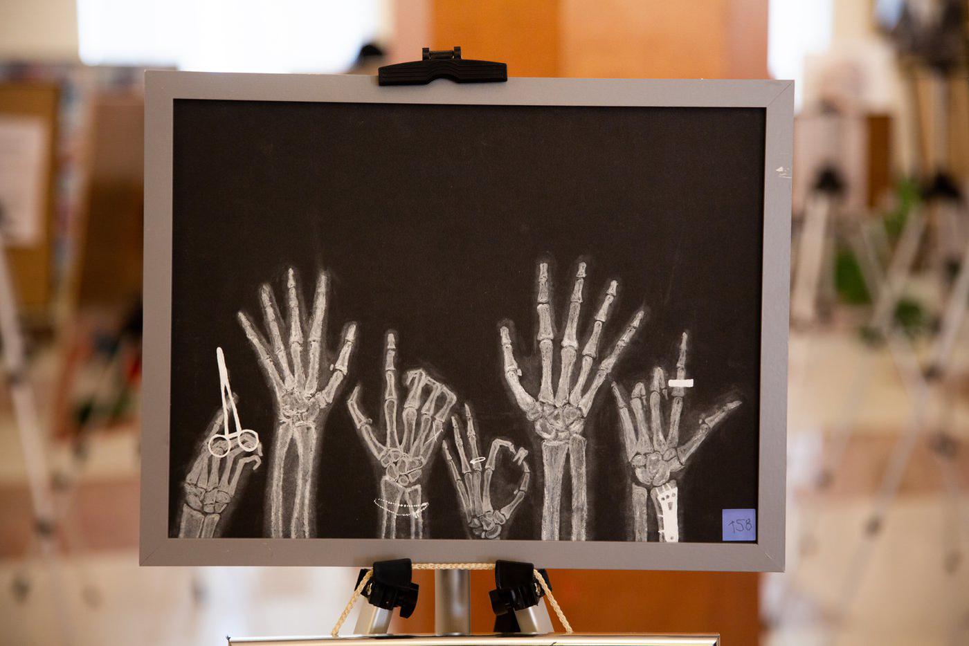 Студенты-медики представили свои работы на выставке анатомического рисунка