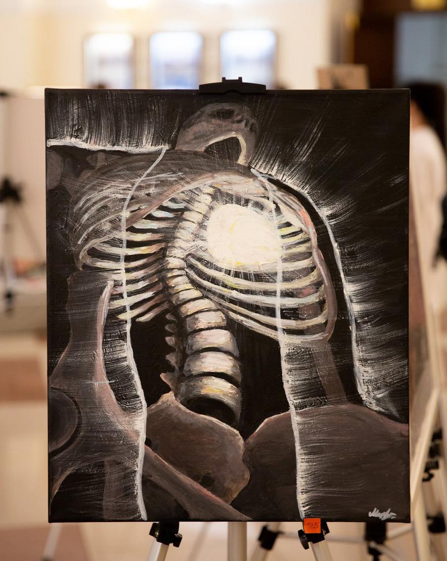 Работы студентов, представленные на Imago Anatomica Vesalius.