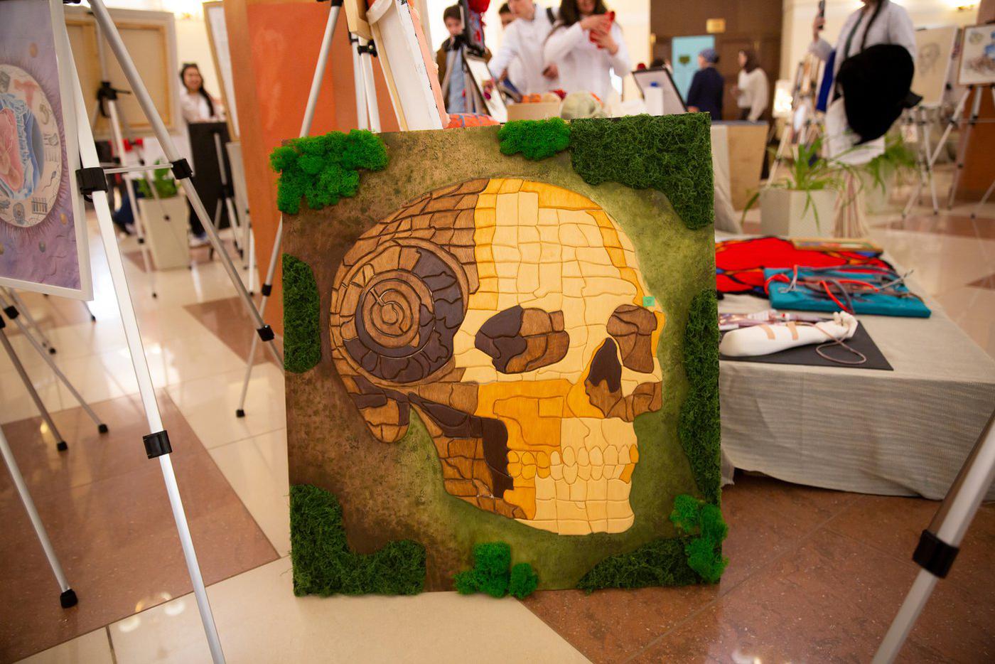 Работы студентов, представленные на Imago Anatomica Vesalius.