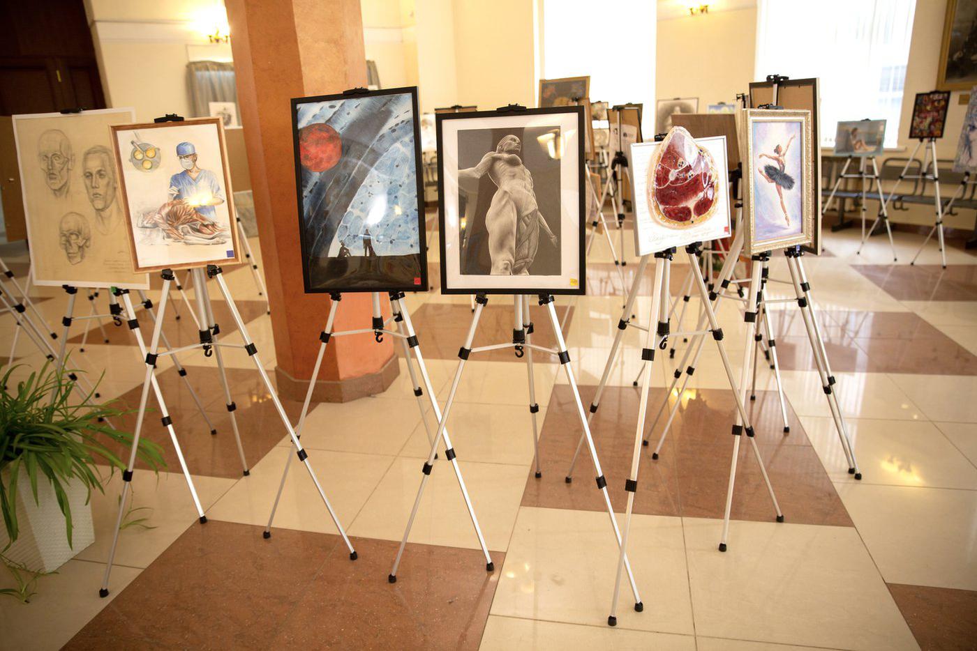 Работы студентов, представленные на Imago Anatomica Vesalius.