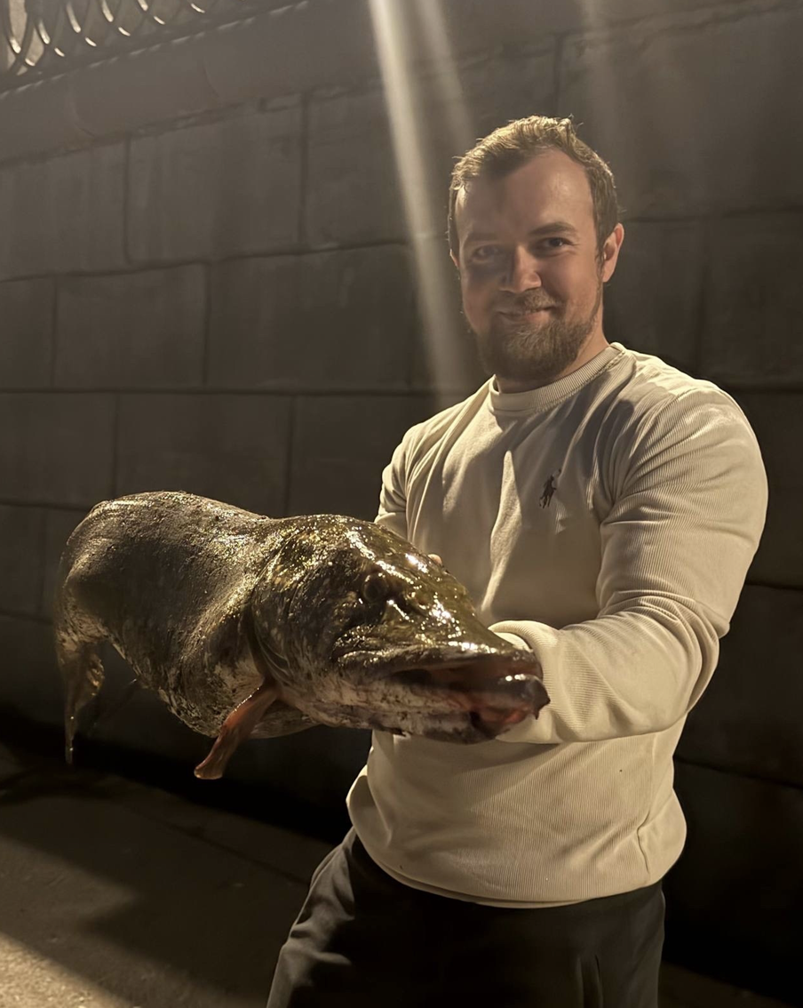 Со стороны как будто даже не щука, а целый крокодил!