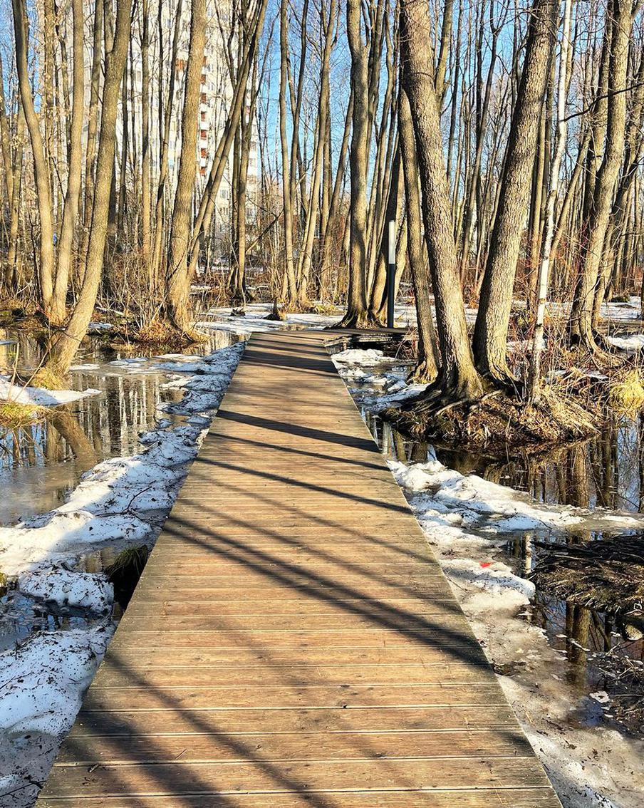 Паводок охватил 32 региона России: подтоплены сотни участков и дорог. В МЧС сообщили о масштабном разливе рек и активном таянии снега. В зоне подтопления оказались 529 приусадебных участков, 66 автомобильных дорог и два социально значимых объекта