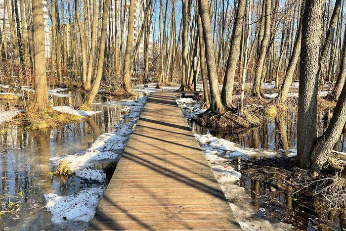 МЧС: в 32 регионах подтоплены 529 приусадебных участков и 66 дорог