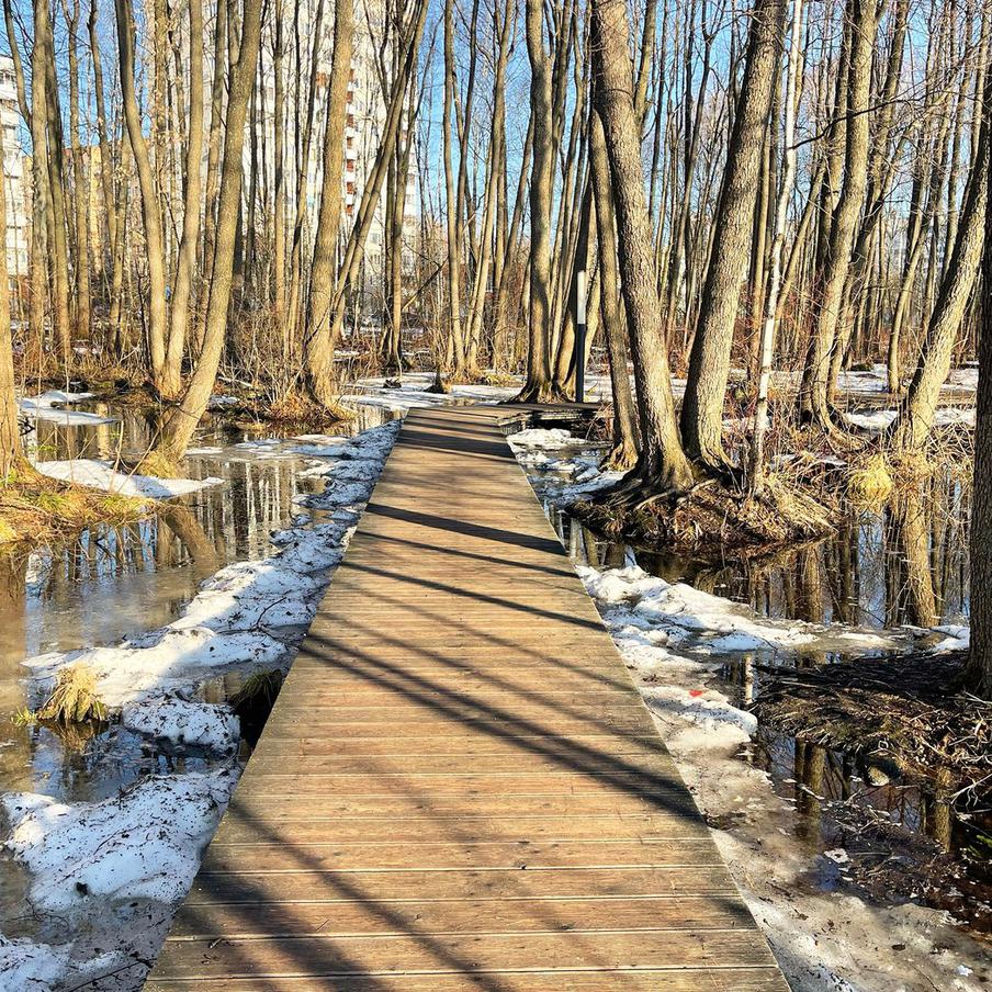 Паводок охватил 32 региона России: подтоплены сотни участков и дорог. В МЧС сообщили о масштабном разливе рек и активном таянии снега. В зоне подтопления оказались 529 приусадебных участков, 66 автомобильных дорог и два социально значимых объекта