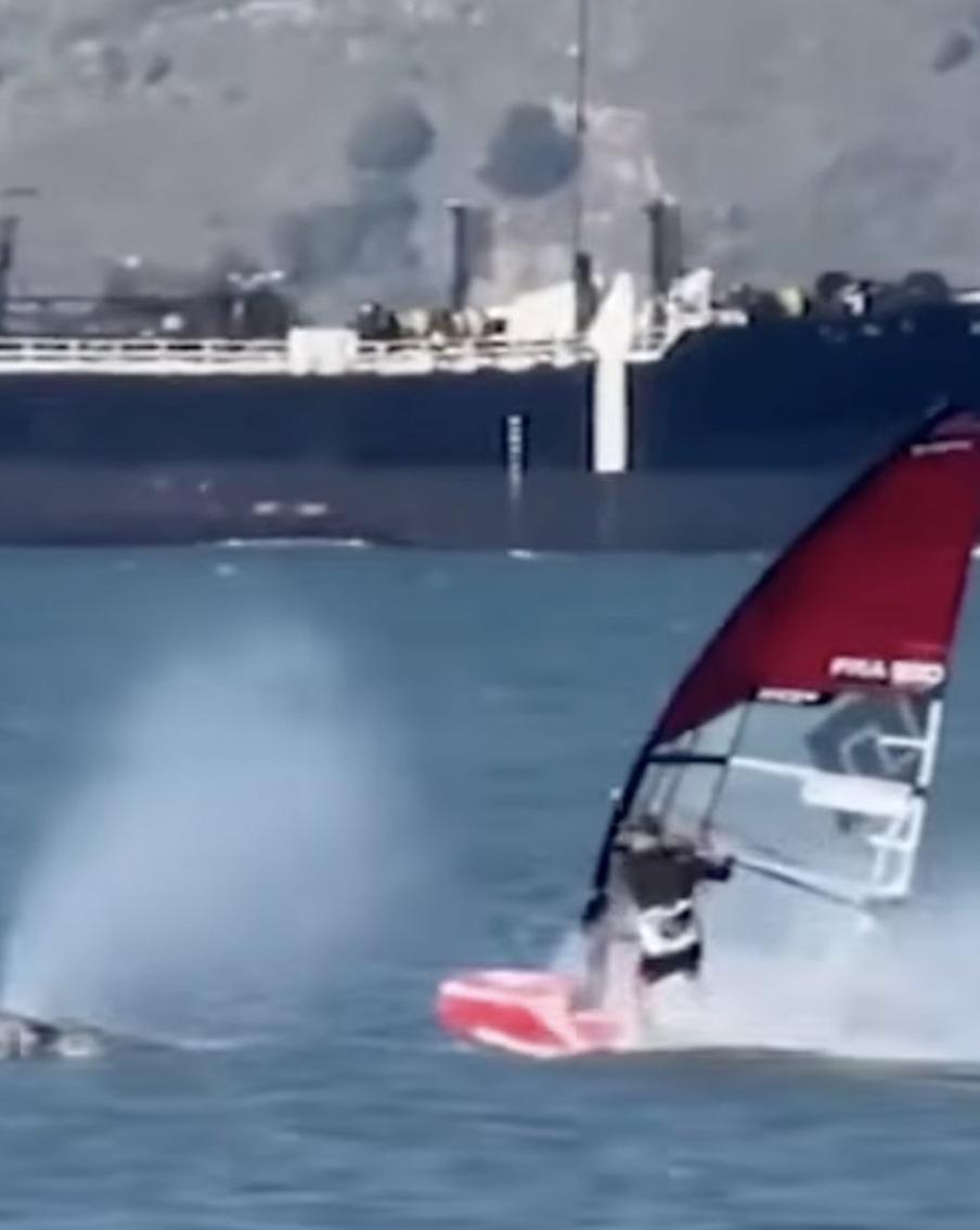 Китовый" день в Калифорнии: виндсёрфер столкнулся с гигантом в заливе. Мужчина катался на доске у побережья Калифорнии, когда гигантское морское млекопитающее неожиданно вынырнуло прямо перед ним. Инцидент сняли на видео, оба участника не пострадали