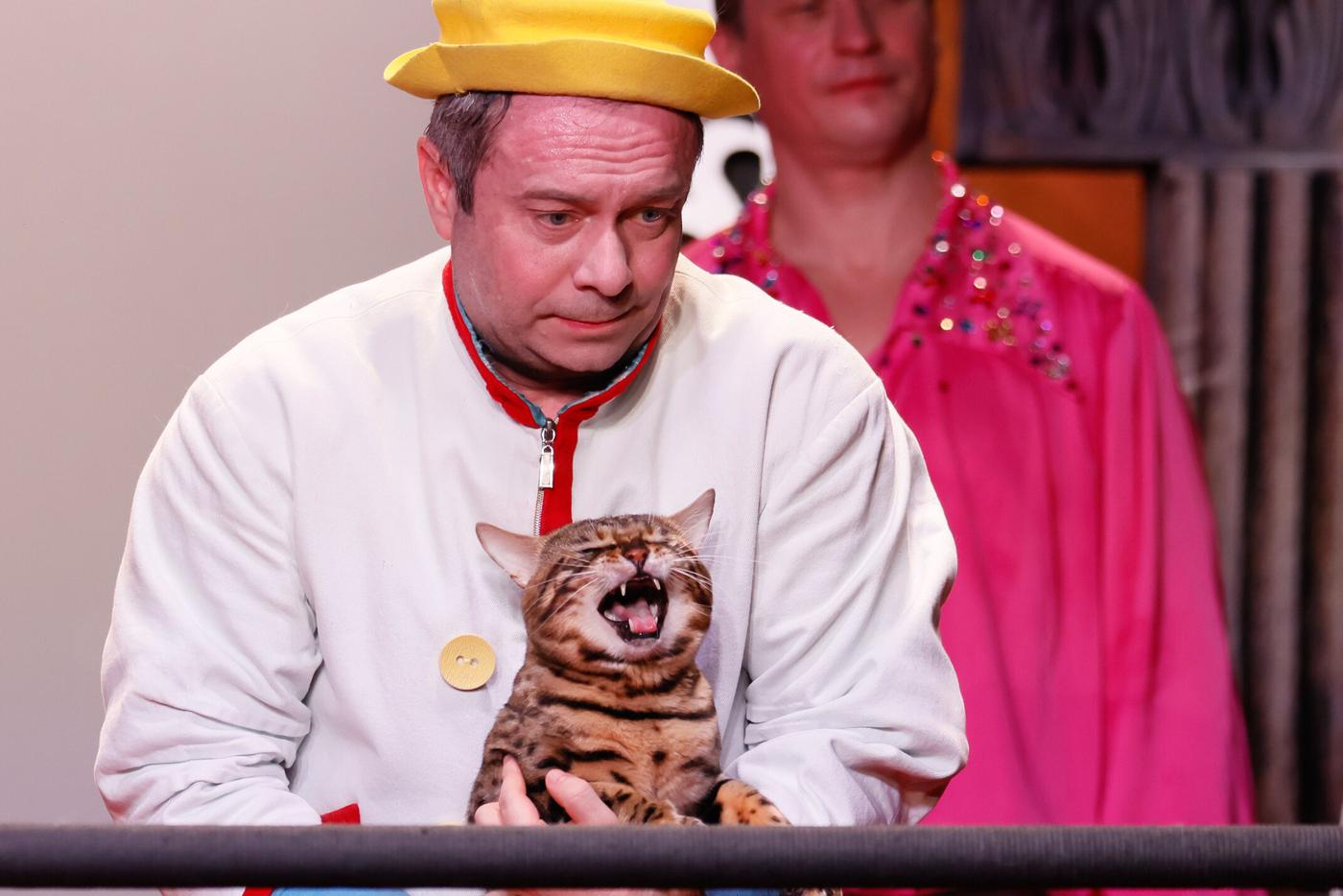 Замхудрука Театра кошек поздравил сервис "Мосбилет" с первым днем рождения