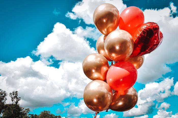 Экологи бьют тревогу: воздушные шарики убивают диких животных