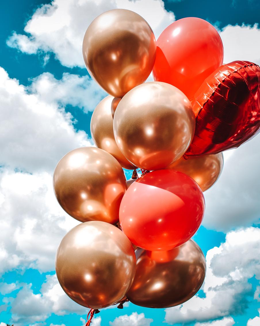 Экологи бьют тревогу: воздушные шарики убивают диких животных