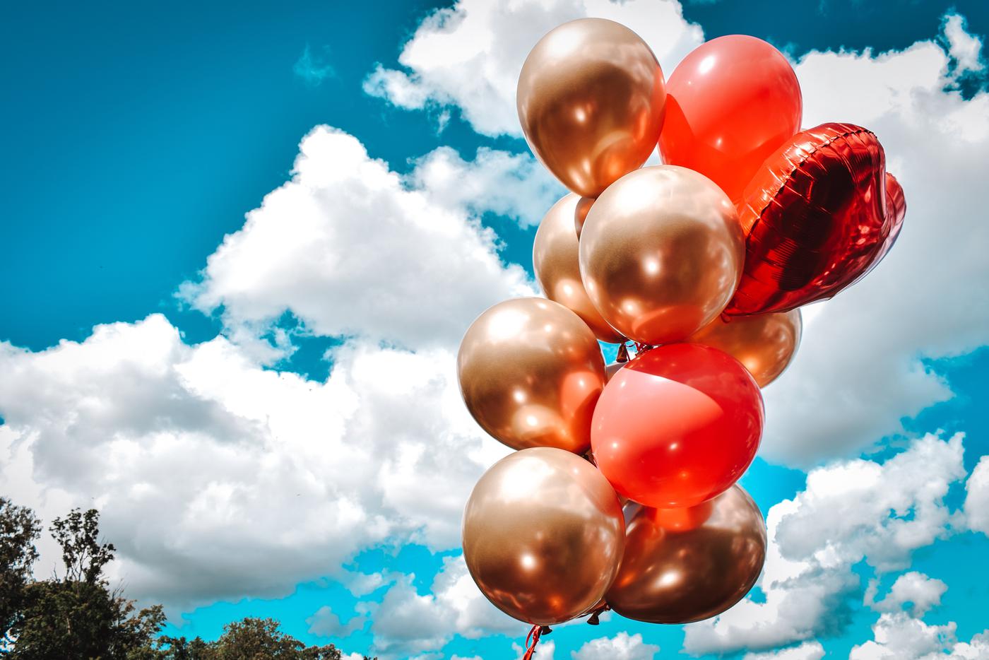 Экологи призывают запретить воздушные шары из-за вреда дикой природе