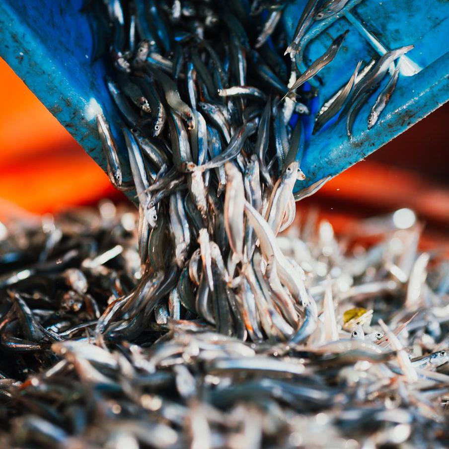 Названы сферы деятельности в России с зарплатой более 150 тысяч рублей. Сведения получены из обновлённых данных Росстата. Также сообщается, что средний размер зарплаты в России в январе 2026 года составил 103 612 рублей – за год сумма выросла на 15%