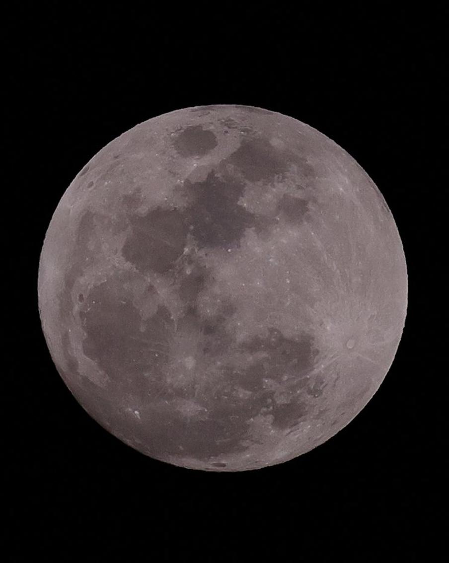 Отец Илона Маска усомнился, что американцы когда-либо высаживались на Луну. Эррол объяснил, что его терзают сомнения, потому что посадить корабль на спутник Земли невероятно трудно даже сегодня. При этом последние 10 попыток посадки закончились аварией, в том числе у NASA