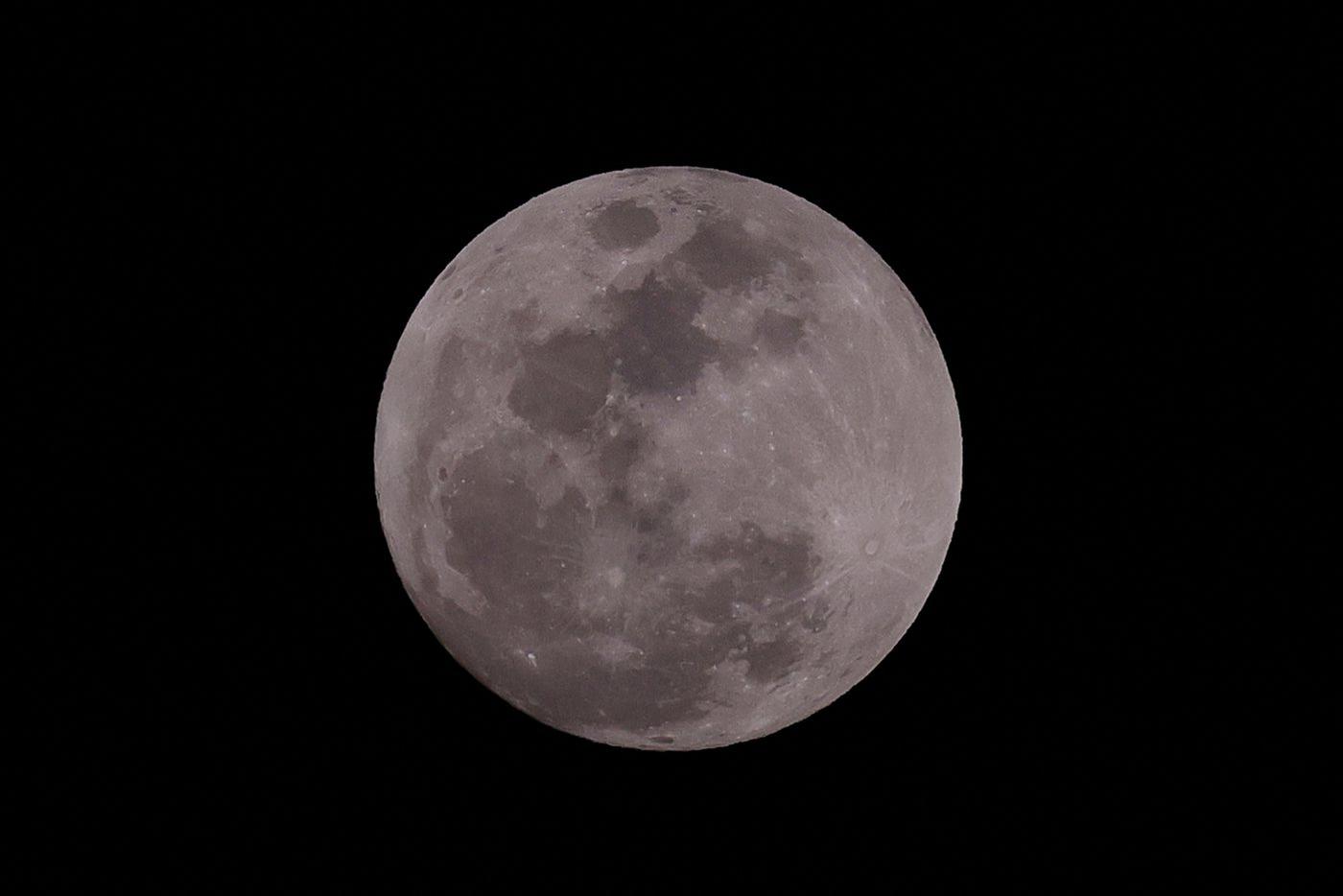 Отец Илона Маска сомневается в реальности высадки американцев на Луну