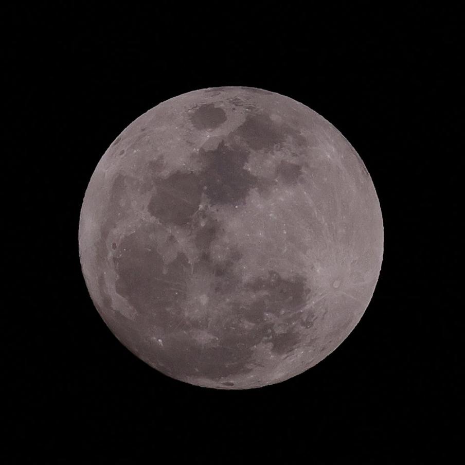 Отец Илона Маска усомнился, что американцы когда-либо высаживались на Луну. Эррол объяснил, что его терзают сомнения, потому что посадить корабль на спутник Земли невероятно трудно даже сегодня. При этом последние 10 попыток посадки закончились аварией, в том числе у NASA