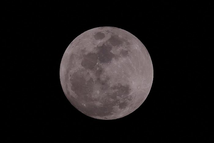 Отец Илона Маска сомневается в реальности высадки американцев на Луну