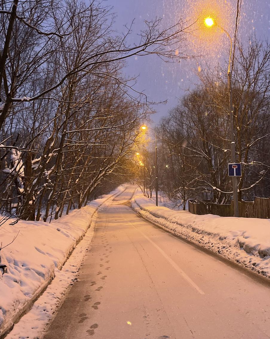 На Русскую равнину возвращаются мокрый снег и ночные заморозки. После кратковременного потепления до +17 градусов в Центральную Россию идёт новый виток непогоды. К середине следующей недели возможен снег, а по ночам столбики термометров опустятся ниже нуля