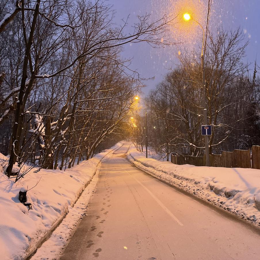На Русскую равнину возвращаются мокрый снег и ночные заморозки. После кратковременного потепления до +17 градусов в Центральную Россию идёт новый виток непогоды. К середине следующей недели возможен снег, а по ночам столбики термометров опустятся ниже нуля
