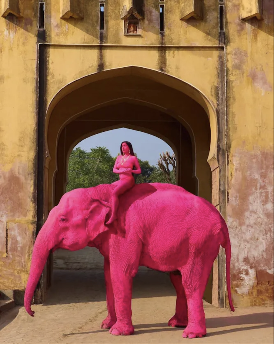 "Слон умер от старости": россиянку захейтили за розового слона, не зная контекста