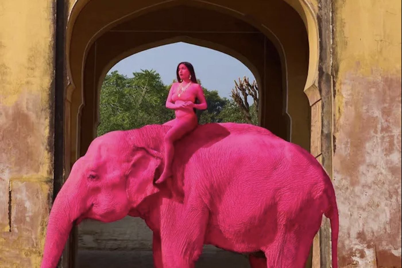 Красила ещё и верблюдов: причастна ли российский фотограф к смерти розового слона