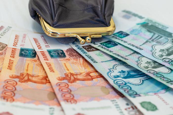 РИА "Новости": с 1 июля в РФ могут измениться назначения социальных выплат