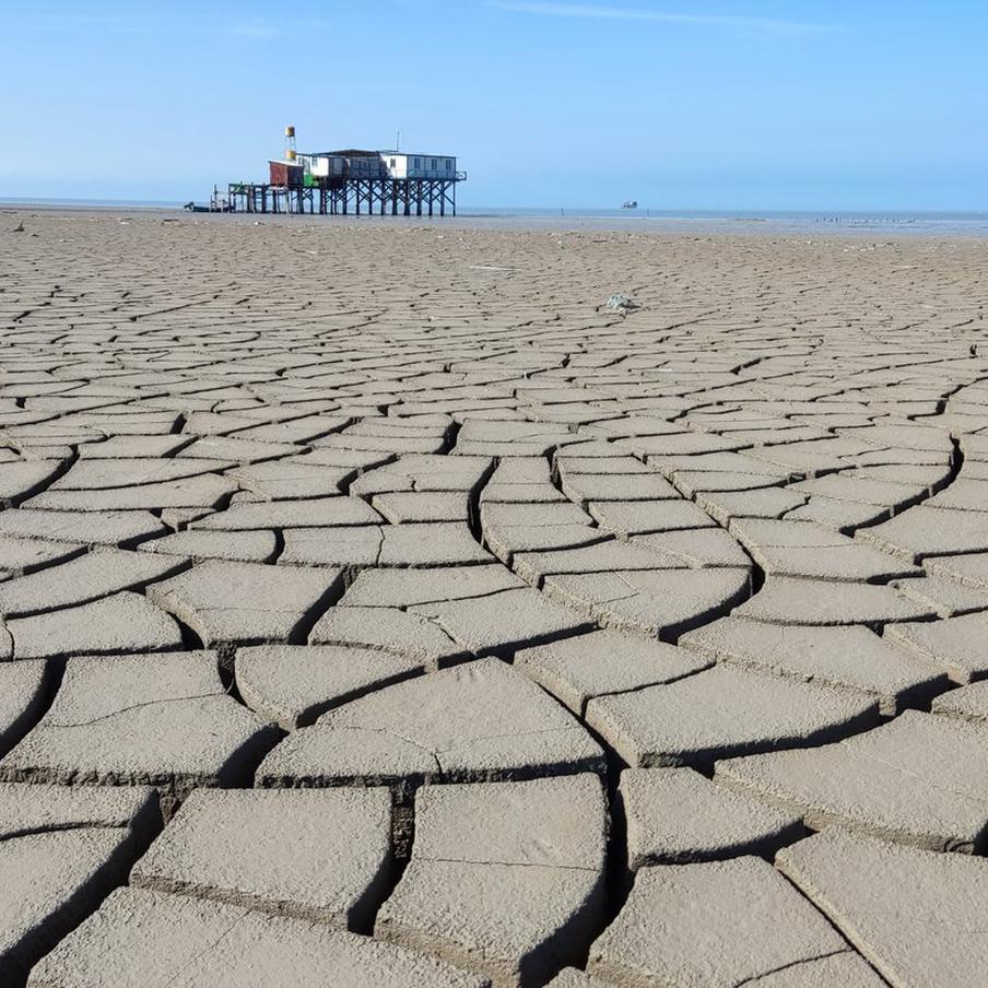 Учёный Болгов: уровень Каспийского моря стабилизировался после 20 лет падения. Михаил Болгов, главный научный сотрудник и заведующий лабораторией Института водных проблем Российской академии наук, доктор технических наук, сообщил о том, что после двадцатилетнего периода снижения уровень Каспийского моря достиг состояния стабилизации