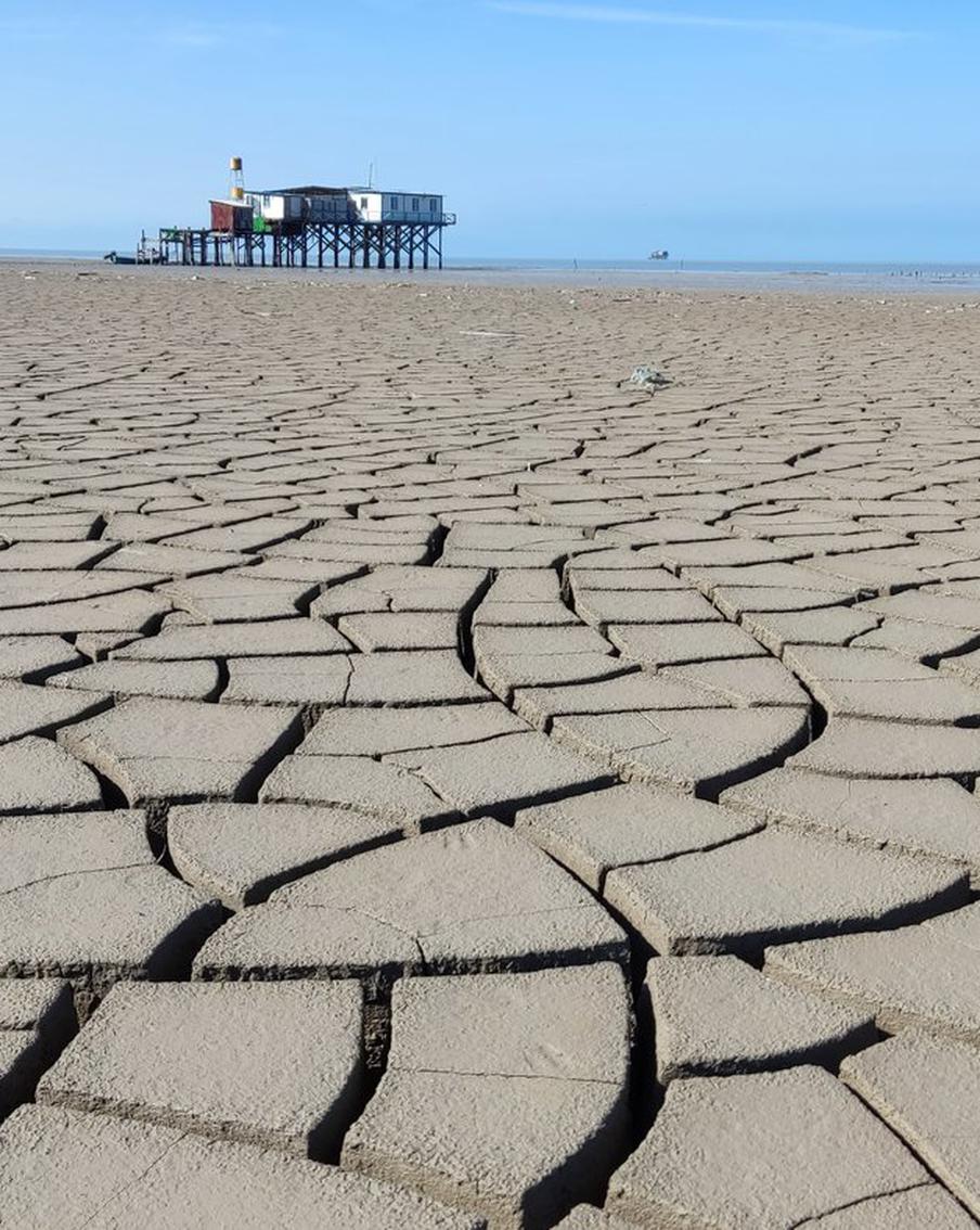 Учёный Болгов: уровень Каспийского моря стабилизировался после 20 лет падения. Михаил Болгов, главный научный сотрудник и заведующий лабораторией Института водных проблем Российской академии наук, доктор технических наук, сообщил о том, что после двадцатилетнего периода снижения уровень Каспийского моря достиг состояния стабилизации