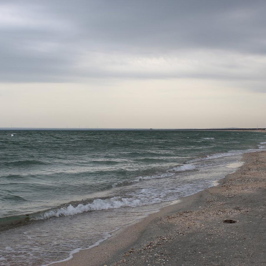 В Азовском море затонул сухогруз. В результате аварии сухогруза типа "Волго-Балт", который перевозил пшеницу в Азовском море, один человек погиб и двое пропали без вести. Об этом сообщил в своём телеграм-канале губернатор Херсонской области Владимир Сальдо