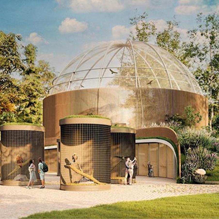 Именно в этом центре птицы получают ветеринарную помощь