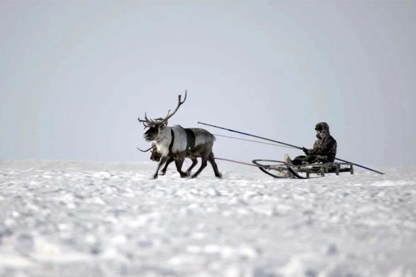 "Последний мамонт".
