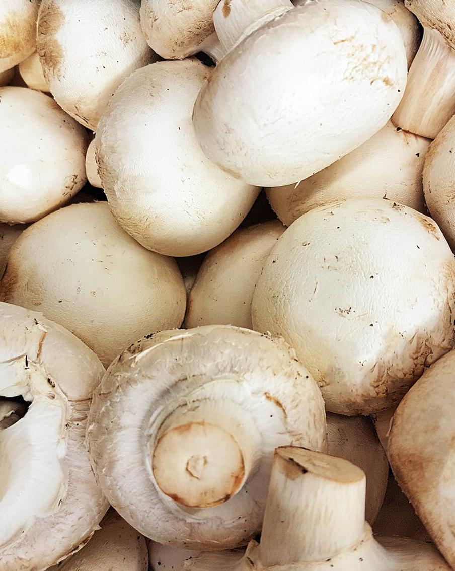 Россия поставила рекорд по экспорту шампиньонов