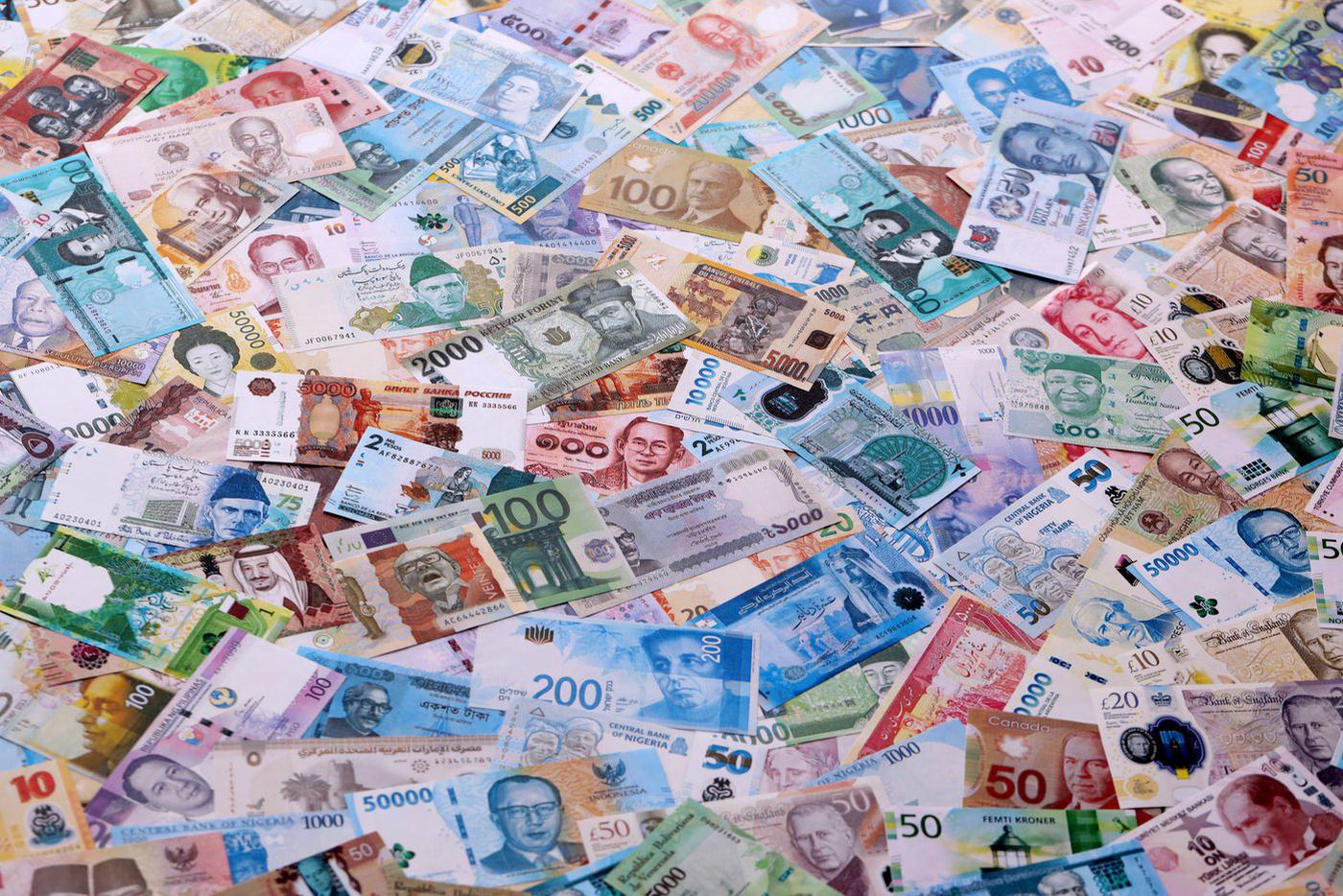 В усадьбе вице-губернатора Кубани Коробки нашли миллионы долларов и евро