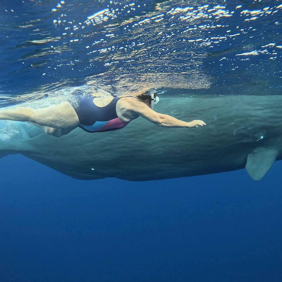 Бесстрашная Ирина плавает с китами на Маврикии.