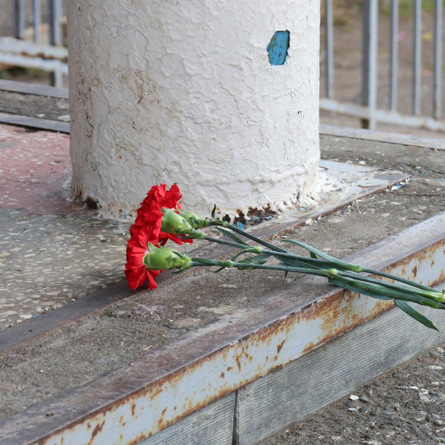 Прощание с погибшей в Пермском крае учительницей состоится 9 апреля. Прощание с Олесей Петровной Багута — педагогом из Добрянской школы №5, трагически погибшей в результате нападения ученика, пройдёт 9 апреля 2026 года в 10:00 в Добрянке, во Дворце культуры и спорта имени В.А. Ладугина. Об этом сообщил глава Добрянского муниципального округа Дмитрий Антонов на своей странице в социальной сети "ВКонтакте"