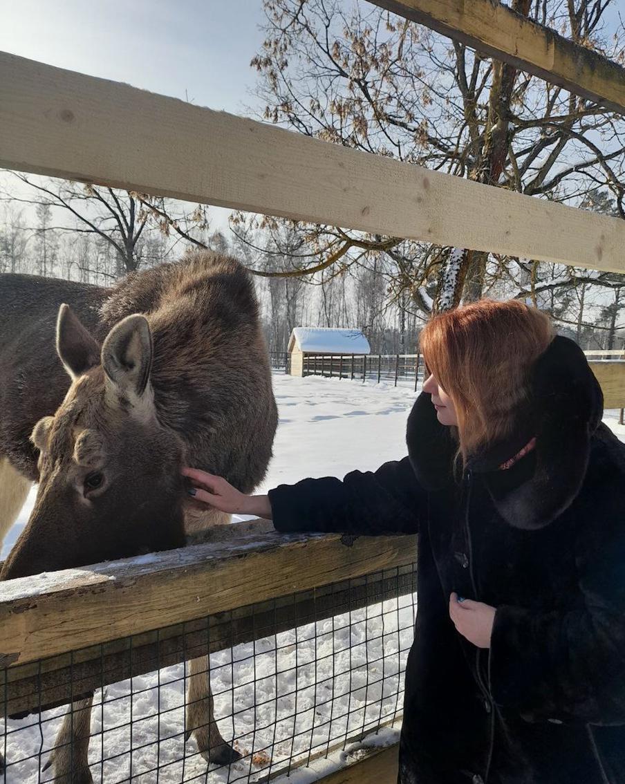 Репортёр Metro гладит лося Федю.