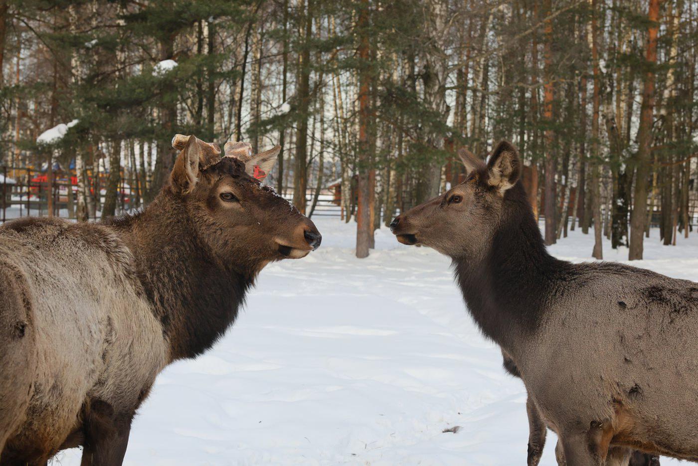 Разные поколения. 